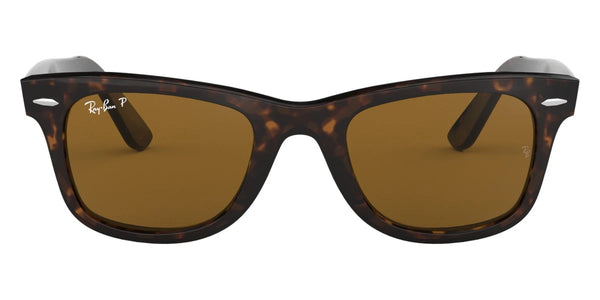 Tortoise / Brown Polarized / 50-22-150