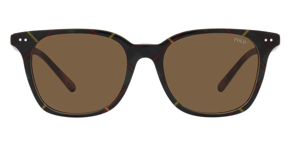 Shiny Dress Gordon / Brown / 52-18-145