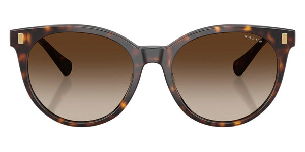 Shiny Dark Havana / Brown Gradient / 55-17-145