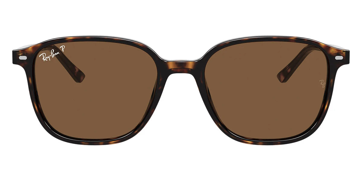 Ray-Ban - Leonard RB2193