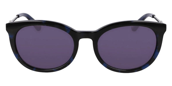 Blue Tortoise / 54-19-140