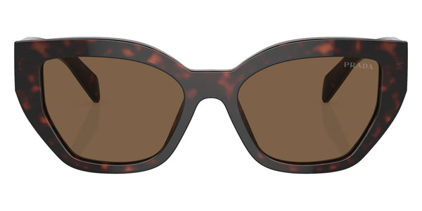 Briar Tortoise / Dark Brown Polarized / 53-18-145