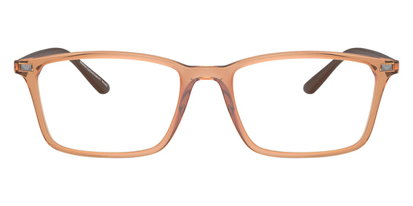 Shiny Transparent Brown/Matte Brown / 53-18-145