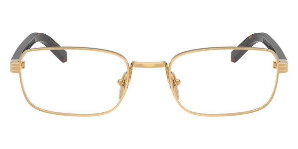 Gold/Root Tortoise / 52-20-145