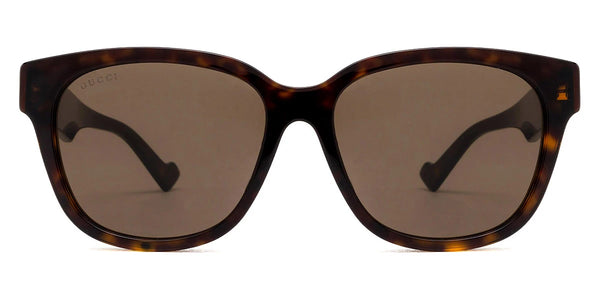 Havana / Brown / 57-18-145