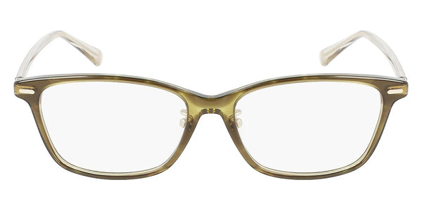 Khaki Tortoise / 54-16-145