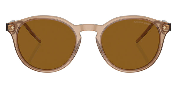 Transparent Brown / Brown / 52-20-145