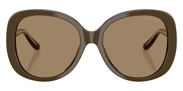 Brown on Crystal / Brown / 55-17-140