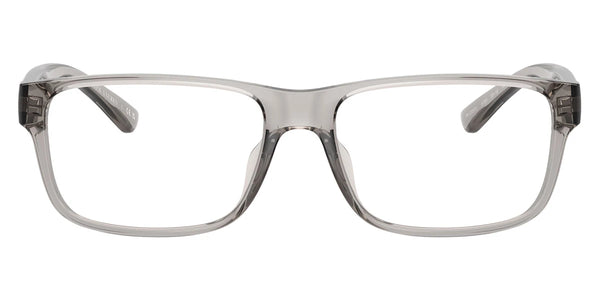 Shiny Transparent Gray / 53-16-145