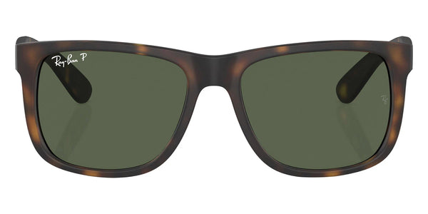 Havana / Dark Green Polarized / 55-16-145