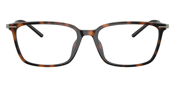 Havana/Matte Brown / 55-17-145