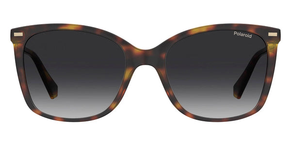 Havana / Brown Gradient Polarized / 55-19-145
