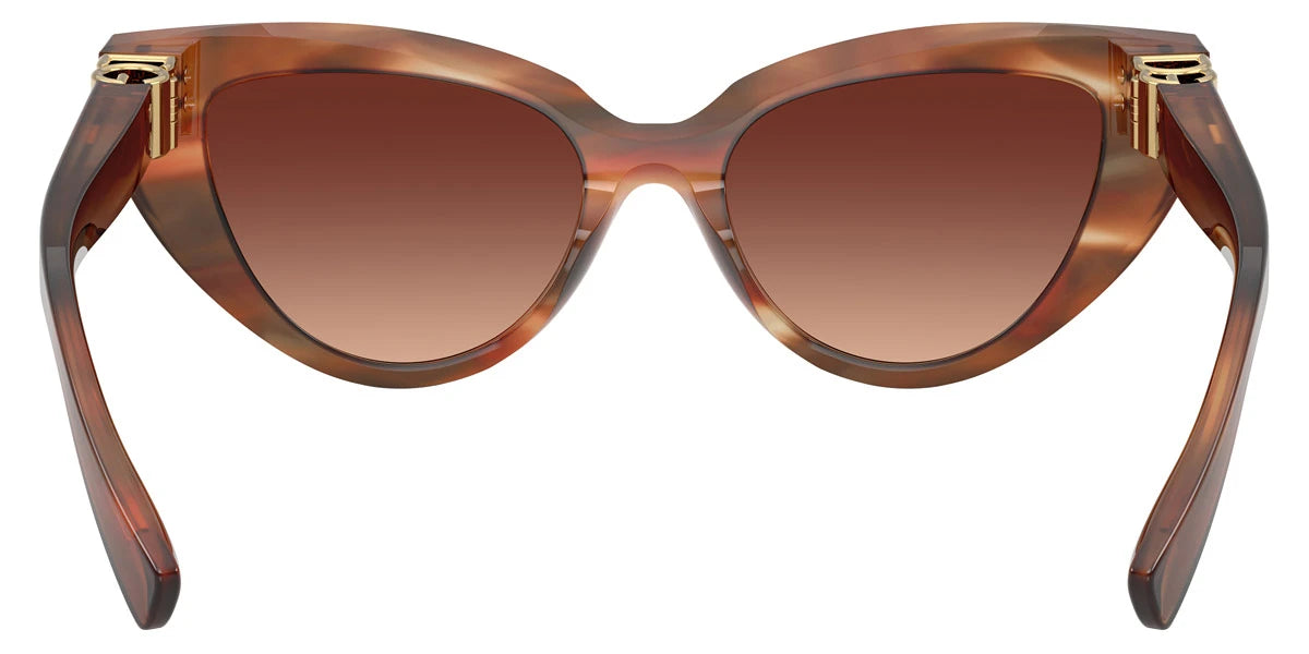 DOLCE & GABBANA - DG4497