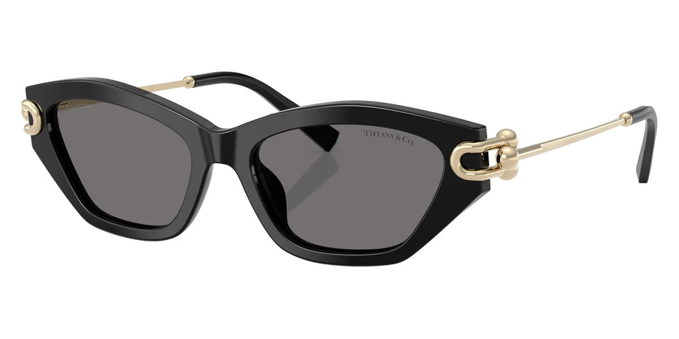 TIFFANY TF4231U 800181 53 - Black/Pale Gold / Dark Gray Polarized