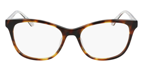 Tortoise / 55-17-145