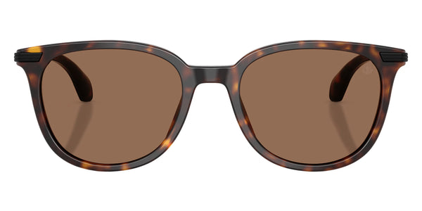 Shiny Havana / Solid Brown / 53-19-145
