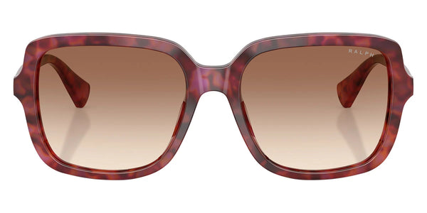 Shiny Purple Havana / Light Brown Gradient / 56-17-145