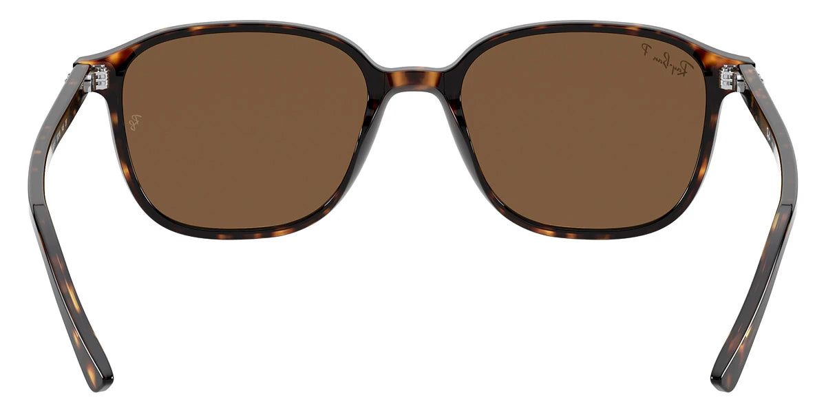Ray-Ban - Leonard RB2193