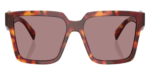 Poppy Tortoise/Bordeaux / Light Purple Brown / 57-14-140