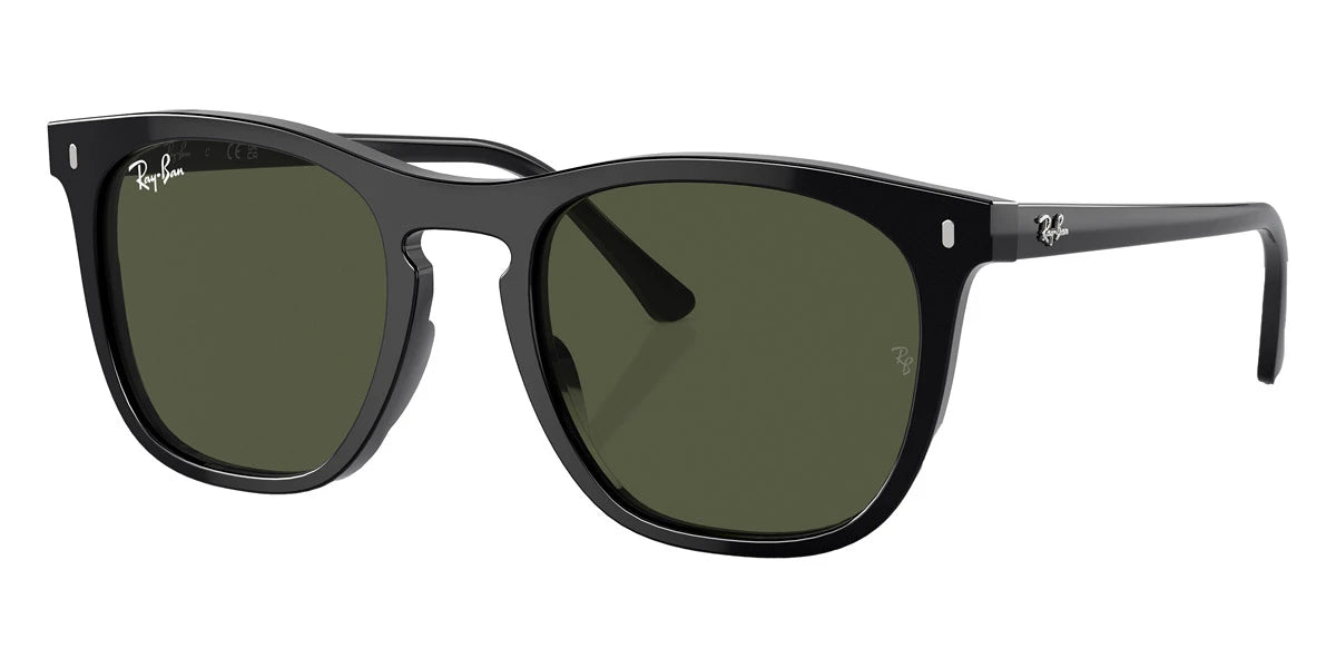 Ray-Ban - RB2210