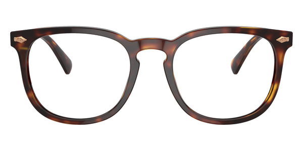 Shiny Brown Tortoise / Brown / 54-20-145