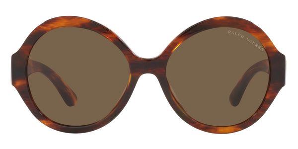 Shiny Striped Havana / Brown / 55-17-145