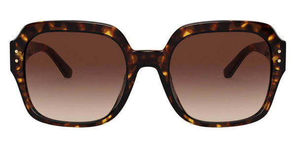 Dark Tortoise / Light Brown Dark Brown Gradient / 56-21-140