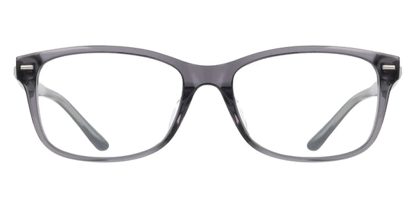 Transparent Gray / 53-17-145