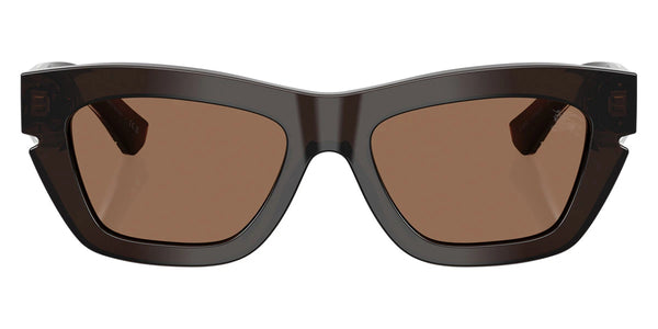 Brown/Top Crystal on Brown / Dark Brown / 52-18-140