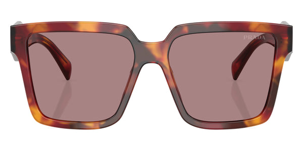 Poppy Tortoise/Bordeaux / Light Purple Brown / 56-16-140