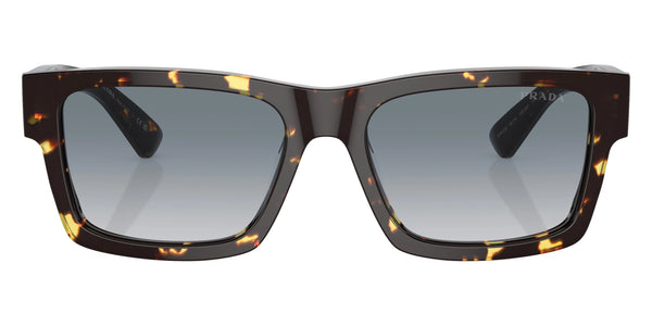 Black Malt Tortoise / Gray Gradient / 53-18-140