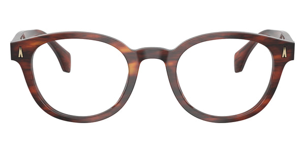 Shiny Striped Brown Havana / 48-22-140