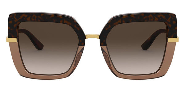 Havana on Transparent Brown / Brown Gradient Dark Brown / 52-21-140