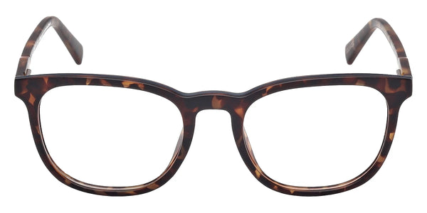 Dark Havana / 51-19-145