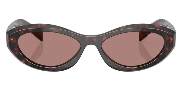 Root Tortoise / Light Brown / 55-16-145