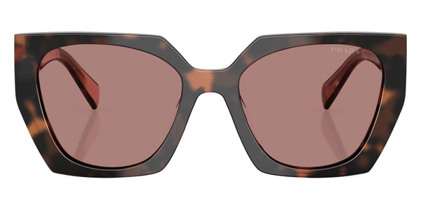 Mauve Tortoise/Spotted Pink / Light Brown / 54-19-140