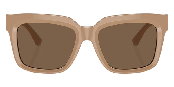 Beige / Dark Brown / 54-18-140