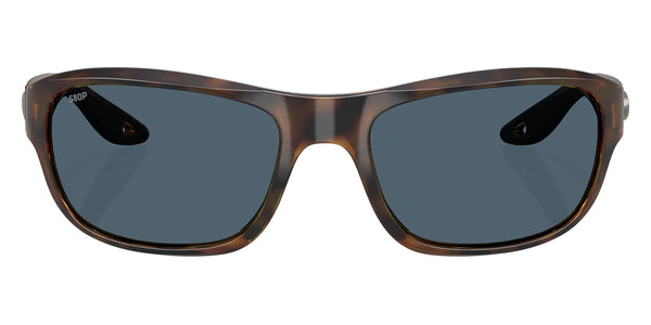 Tortoise / Gray Polarized / 58-18-133