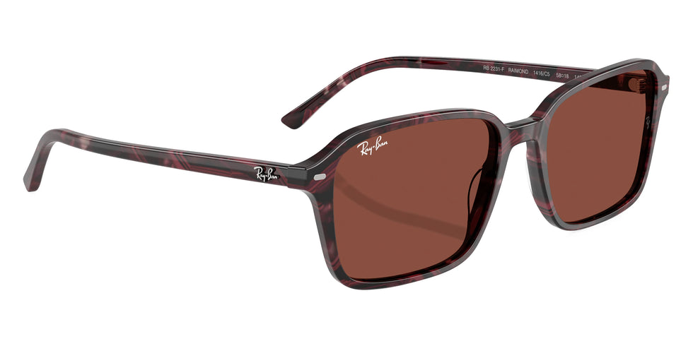 Ray-Ban - Raimond RB2231F