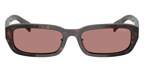 Root Tortoise / Light Brown / 55-18-145