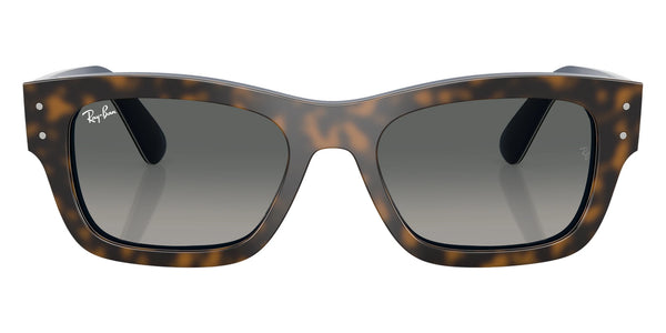 Havana Gray on Gradient Blue / Gradient Gray / 55-20-145