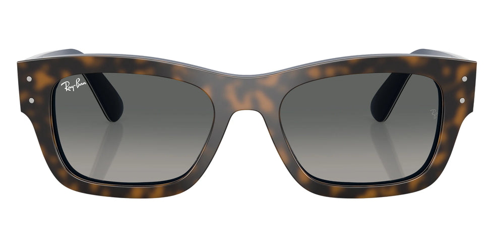 Ray-Ban - RB7683S Joseph