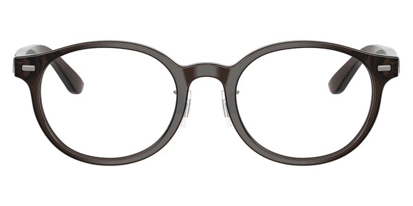 Shiny Transparent Brown / 51-20-145