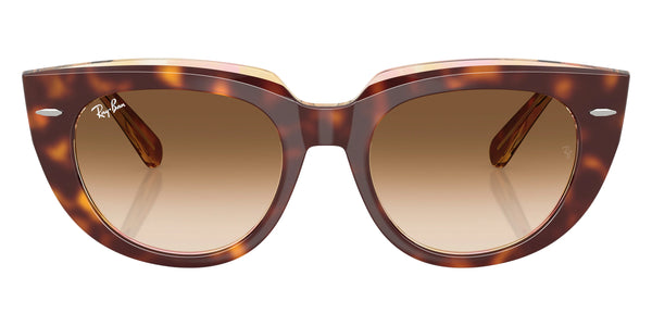 Light Havana on Transparent Multicolor / Clear Gradient Brown / 52-20-145