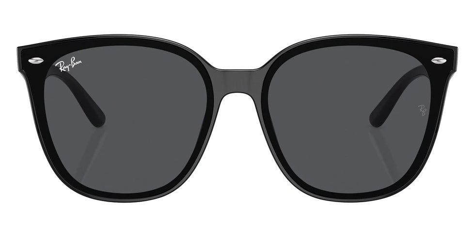 Ray-Ban - RB4423D