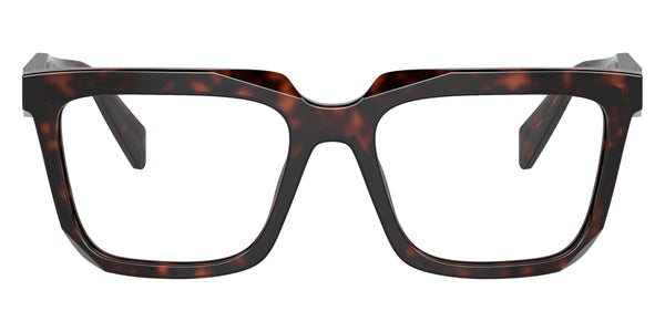 Root Tortoise / 54-18-145