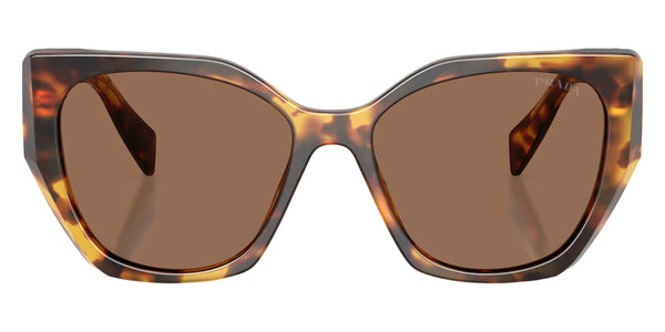 Honey Tortoise / Dark Brown / 55-17-145