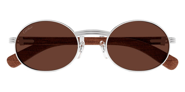 Silver/Brown / Brown AR / 55-22-145