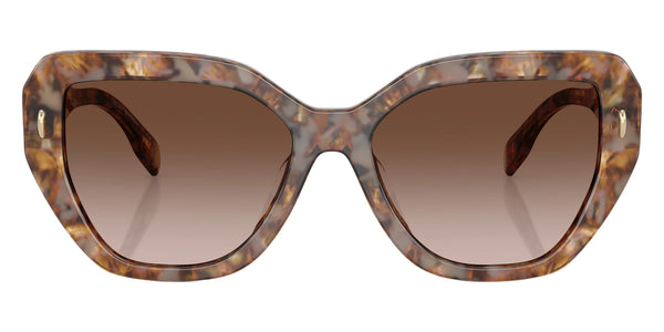 Brown Tortoise / Brown Gradient / 55-17-140