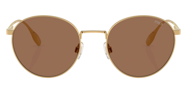 Shiny Gold / Dark Brown / 53-20-145